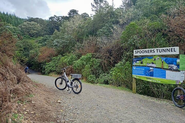 Spooners Tunnel Cycle Trail: 55km Downhill Ride from Kohatu to Nelson photo 2