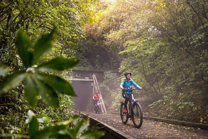 Spooners Tunnel Cycle Trail: 55km Downhill Ride from Kohatu to Nelson photo 4