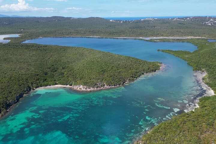 Paddling the Glow: Night Kayak Tour of Mosquito Bay, Vieques photo 6