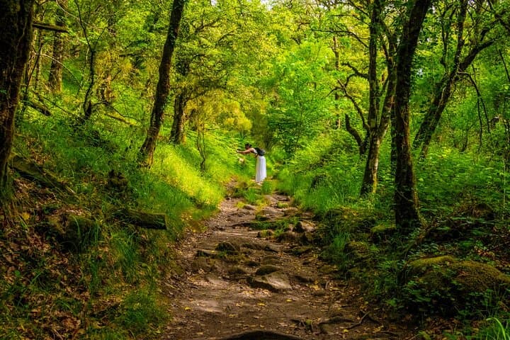 Peneda-Gerês Private Full-Day Land Rover Tour — Waterfalls, Roman Roads & Mountain Villages photo 4