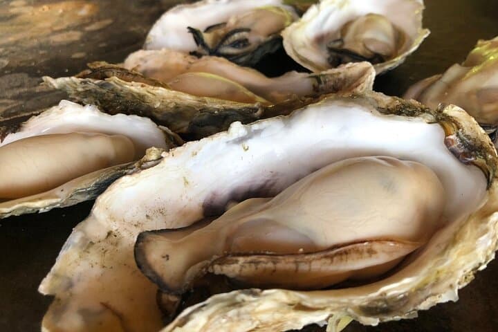 Cape Kamui & Sutto Oysters: Private Day Trip from Sapporo photo 2