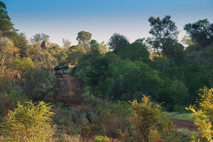 2-Day Pilanesberg Camping Safari from Johannesburg — Big Five Game Drives & Tented Camp photo 3
