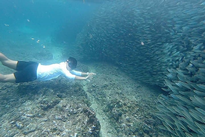 Napaling Sardine Run & Bohol Countryside Tour: Hinagdanan Cave, Loboc River, Chocolate Hills photo 3