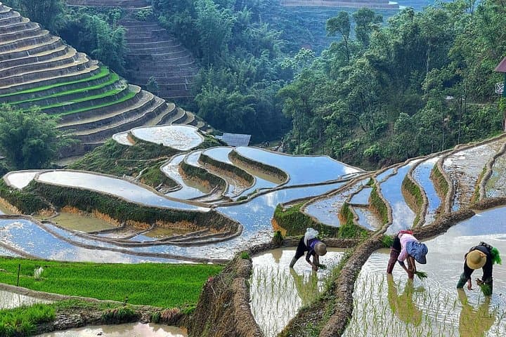 Hanoi to Sapa 2-Day Trek: Ta Van Homestay & Rice Terrace Trekking photo 2