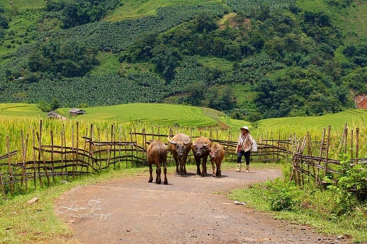 7-Day Northern Vietnam Adventure: Hanoi, Ninh Binh, Halong Bay & Sapa photo 1