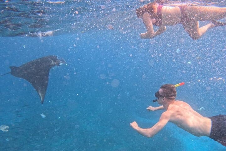 Private Snorkeling from Nusa Penida: Swim with Mantas & Reefs photo 2
