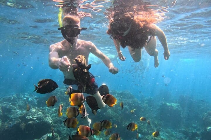 Private Snorkeling from Nusa Penida: Swim with Mantas & Reefs photo 3