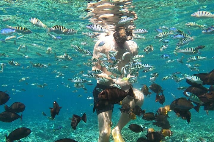 Private Snorkeling from Nusa Penida: Swim with Mantas & Reefs photo 4