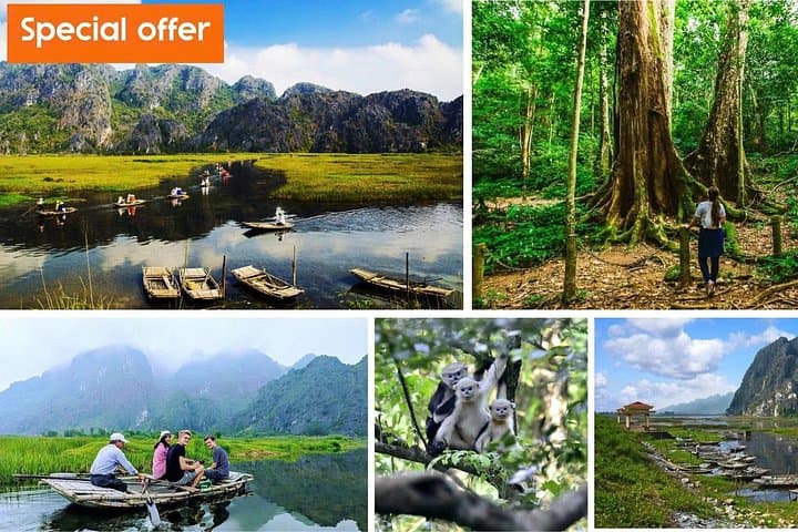 Cuc Phuong National Park Day Trip from Tam Coc: Primate Rescue, Ancient Trees & Forest Trails photo 1