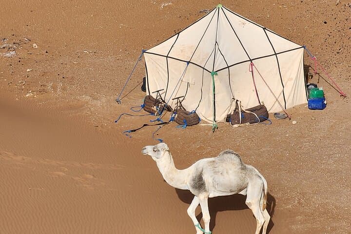 3-Day Camel Trek from Mhamid: Sahara Desert Trekking & Wild Camping photo 6