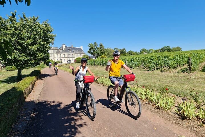 Amboise Private E‑Bike Tour to Clos Lucé & Chenonceau with Wine Tasting