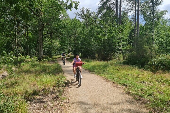 Amboise Private E‑Bike Tour to Clos Lucé & Chenonceau with Wine Tasting photo 6
