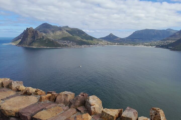 Robben Island, Penguin Colony & Cape of Good Hope: Private Cape Town Day Tour photo 3