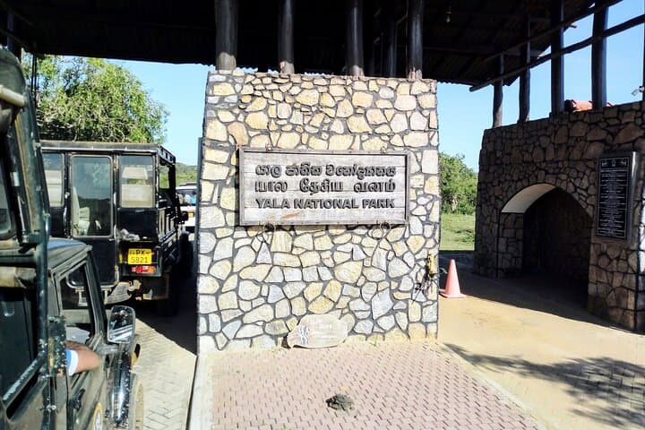 Yala National Park Safari from Galle & South Coast: Day Trip Guide photo 2