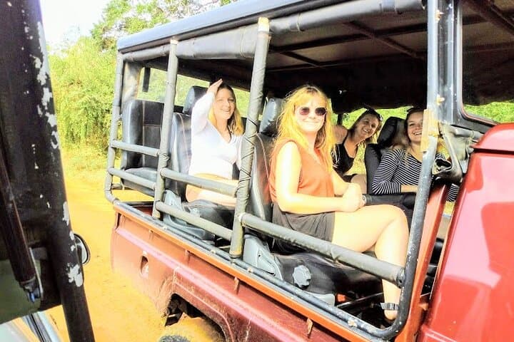 Yala National Park Safari from Galle & South Coast: Day Trip Guide photo 4