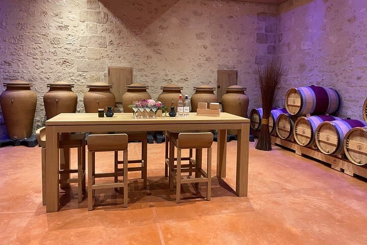 Bordeaux Day Tour: Médoc Châteaux and Saint-Émilion Wine Tasting photo 3