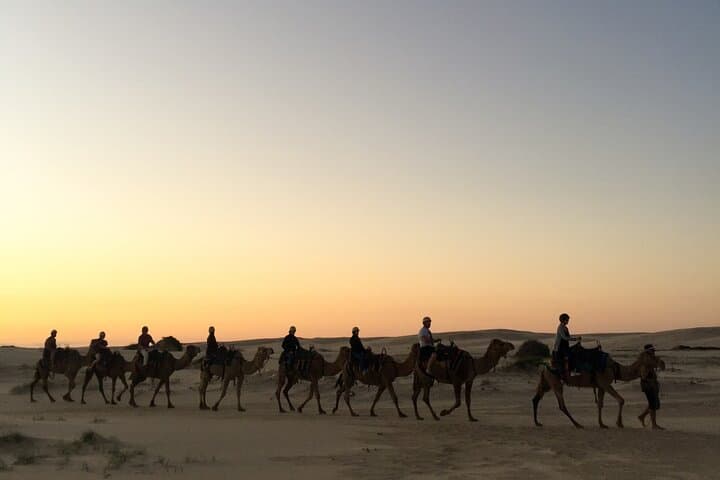 Starlit Desert Safari & Keshta in Dubai: Night Dune Bashing and Stargazing photo 6