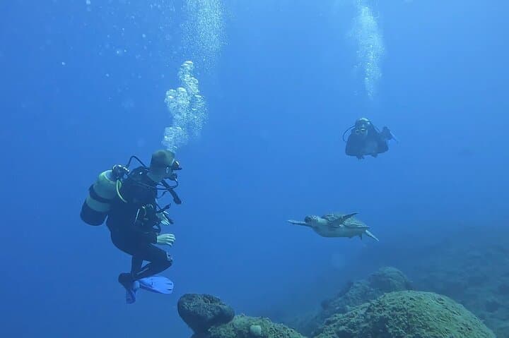Jubilee Shoals Guided Boat Dives — Limassol SCUBA Adventure in Cyprus photo 2