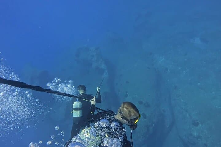 Jubilee Shoals Guided Boat Dives — Limassol SCUBA Adventure in Cyprus photo 3