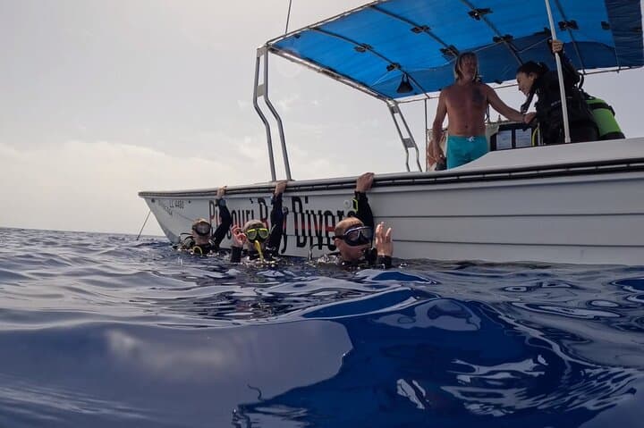 Jubilee Shoals Guided Boat Dives — Limassol SCUBA Adventure in Cyprus photo 5