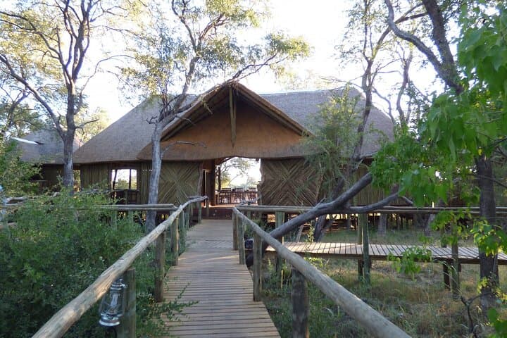 Luxury Okavango Delta Safari: 6-Day Gomoti & Khwai Wildlife Odyssey