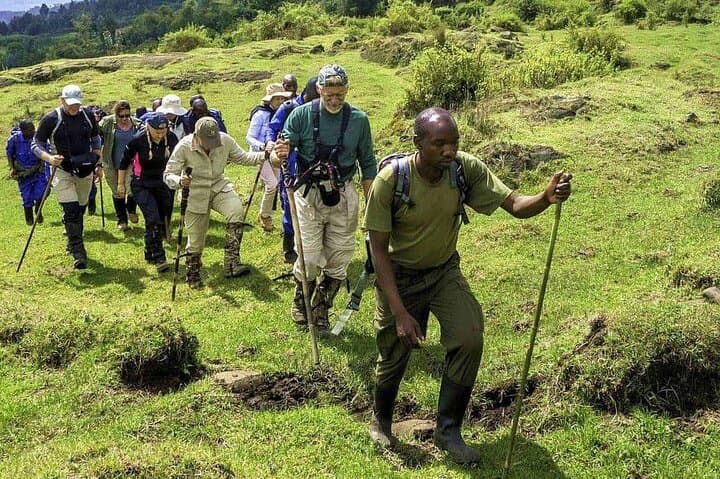 2-Day Mount Karisimbi Hiking Adventure: Summit Rwanda's Highest Volcano photo 4