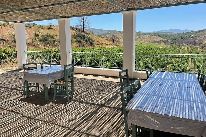 Private Rhodes Tour: Valley of the Butterflies & Local Winery Tasting photo 3