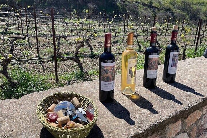Private Rhodes Tour: Valley of the Butterflies & Local Winery Tasting photo 6