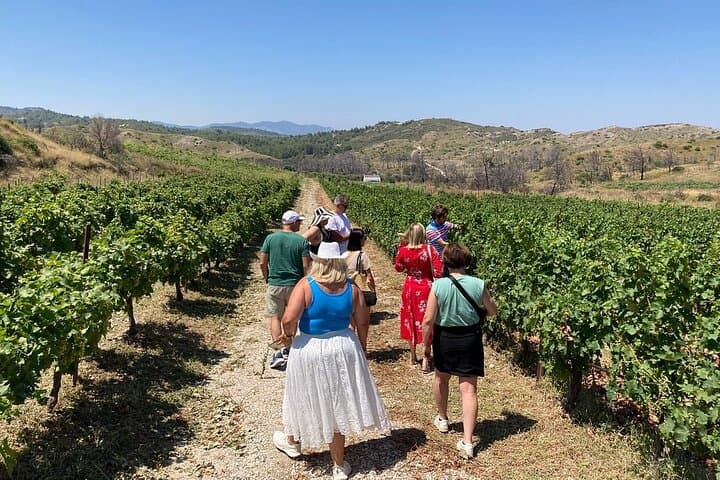 Private Rhodes Tour: Valley of the Butterflies & Local Winery Tasting