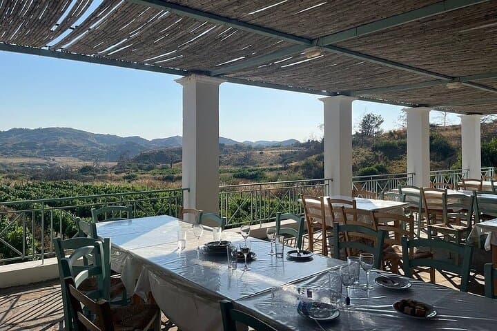 Private Rhodes Tour: Valley of the Butterflies & Local Winery Tasting photo 5