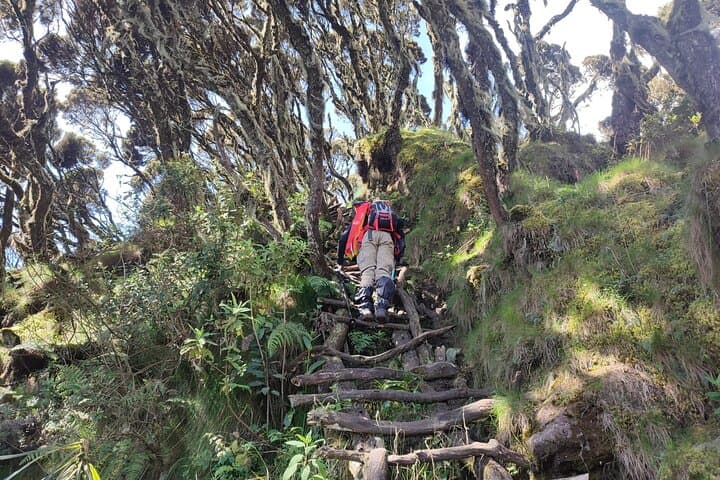 Mount Sabyinyo Day Hike: Conquer the Triple-Border Volcano in Rwanda photo 2