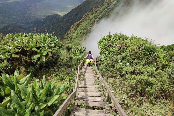 Mount Sabyinyo Day Hike: Conquer the Triple-Border Volcano in Rwanda photo 3