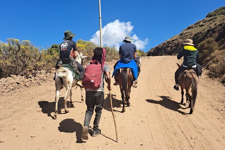 3-Day Simien Mountains Trek: Sankaber to Chennek and Jinbar Falls