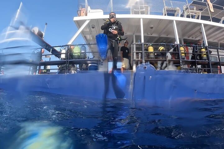 Zenobia Wreck Dive — Two Dives from Larnaca, Cyprus photo 2