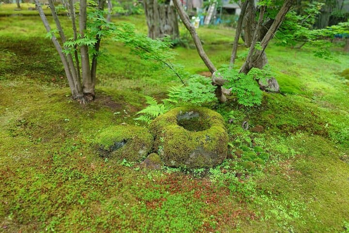 Iiyama Temple and Sake Brewery Day Trip from Nagano: Temples, Dolls & Mizuo Sake photo 5