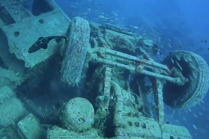 Zenobia Wreck Dive — Two Dives from Larnaca, Cyprus photo 6