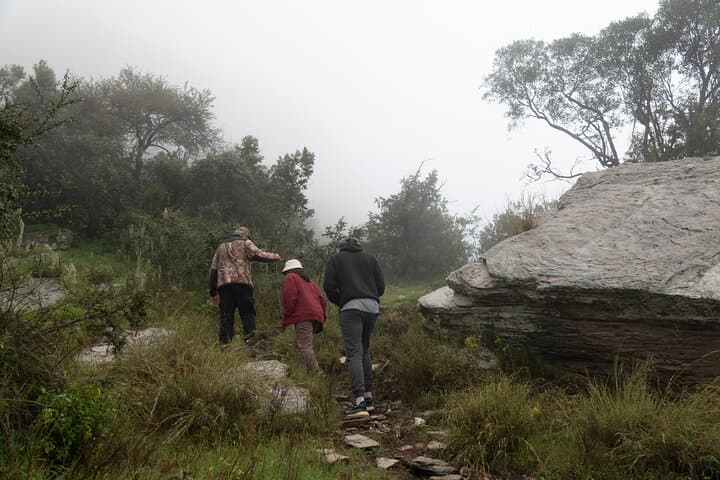 Tanomah Trails Hike — Juniper Forests & Mountain Views Near Abha photo 4