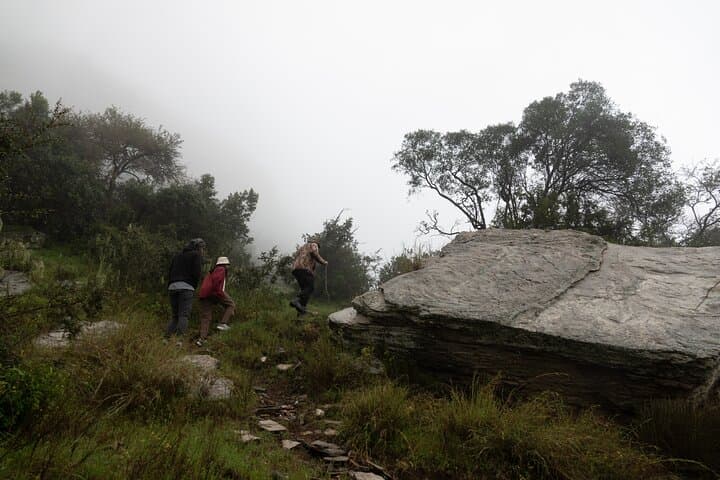 Tanomah Trails Hike — Juniper Forests & Mountain Views Near Abha photo 5