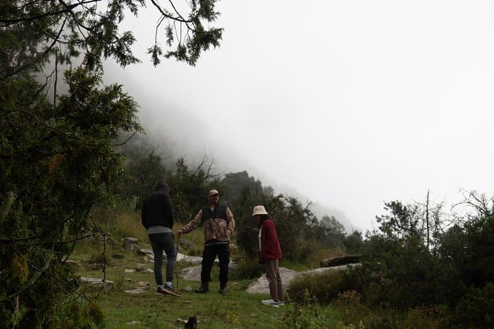 Tanomah Trails Hike — Juniper Forests & Mountain Views Near Abha photo 3