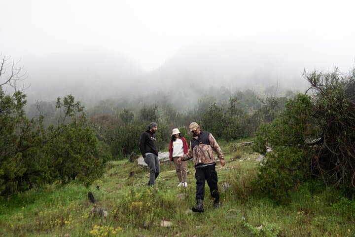Tanomah Trails Hike — Juniper Forests & Mountain Views Near Abha photo 6
