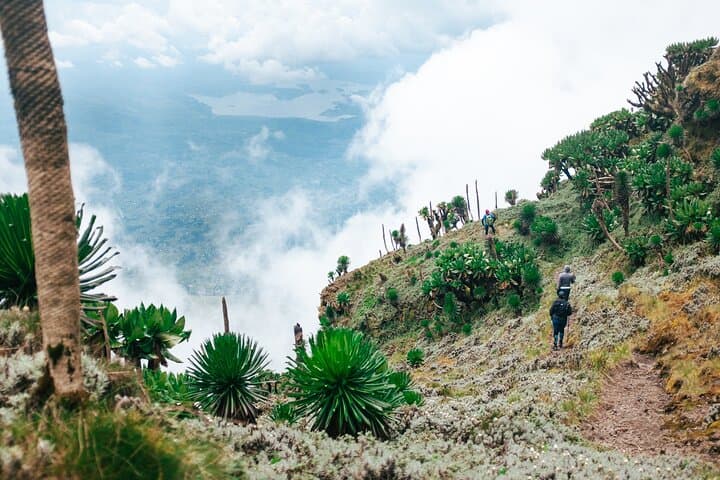 Mount Muhabura Day Hike: Summit Crater Lake & Virunga Panorama photo 4