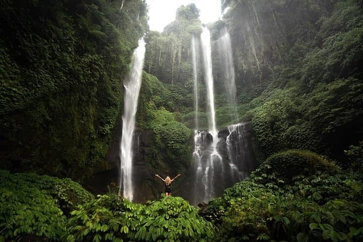 North Bali Waterfall Tour: Leke-Leke & Twin Falls Day Trip from Seminyak photo 2