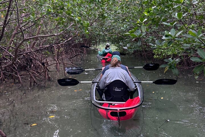 Sunset Clear Kayak Tour — Paddle Jupiter Island to Peanut Island photo 5