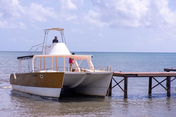 Cayo Levantado (Bacardi Island) Catamaran Excursion — Snorkel, Beach & Buffet in Samaná Bay photo 5