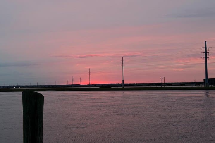Chincoteague Wildlife Sunset Boat Tour — Wild Ponies, Dolphins & Birdlife photo 1