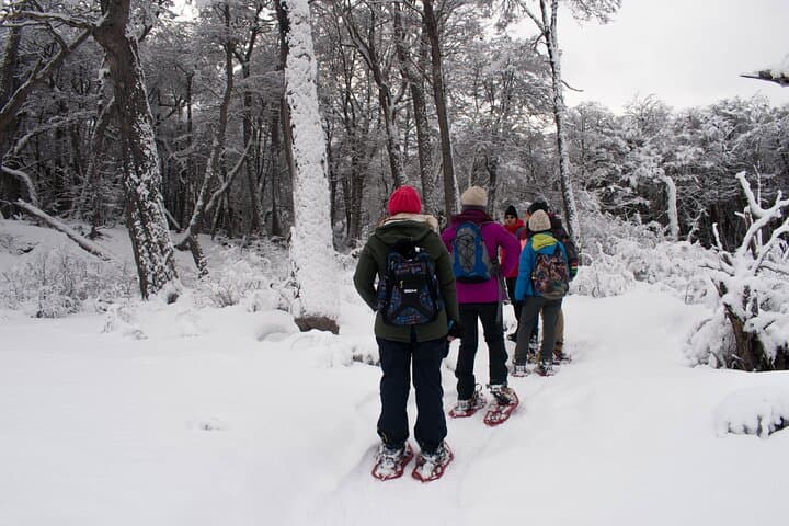 Lake Escondido Experience: Motorcycle, Snowmobile & Snowshoe Day Tour from Ushuaia photo 2