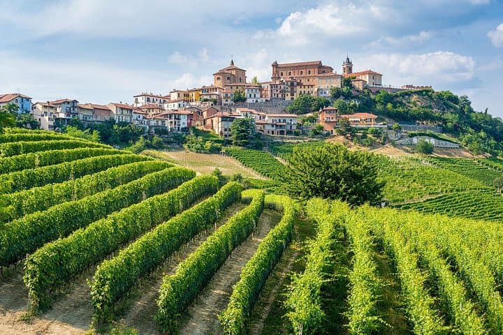 Tuscany Private Day Tour from Florence: Siena, San Gimignano & Wine Tasting photo 2