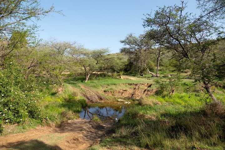 Mount Mana'ah Guided Hikes in Tanomah — Private Trails, Viewpoints & Camping photo 6