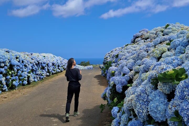 Terceira Island Highlights: Full-Day Guided Tour from Angra do Heroísmo photo 4