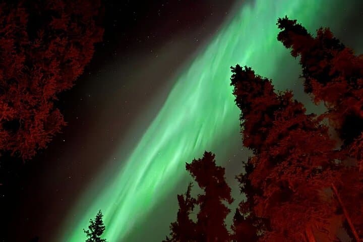 Open-Fire Aurora Viewing & Snowshoeing Adventure near Whitehorse photo 3